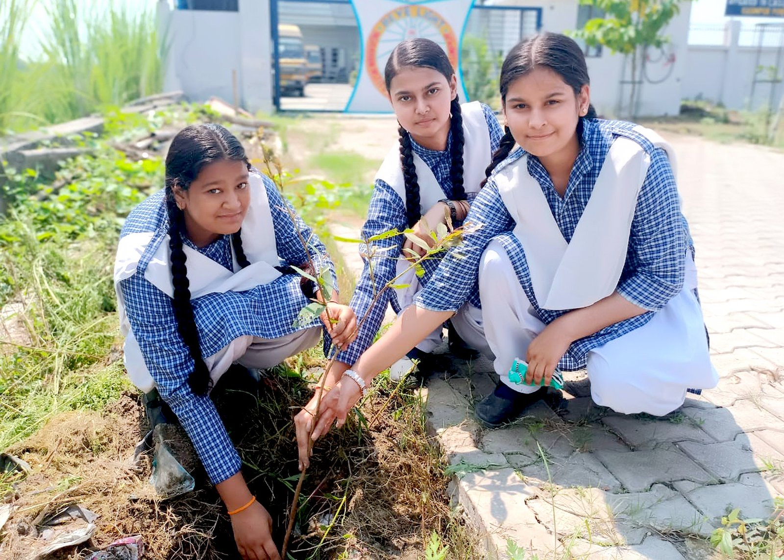 School activity